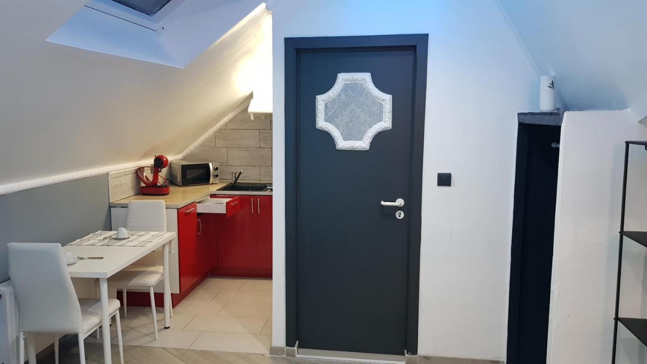 Le Petit Luxembourg Apartment Montignies-sur-Sambre Bagian luar foto