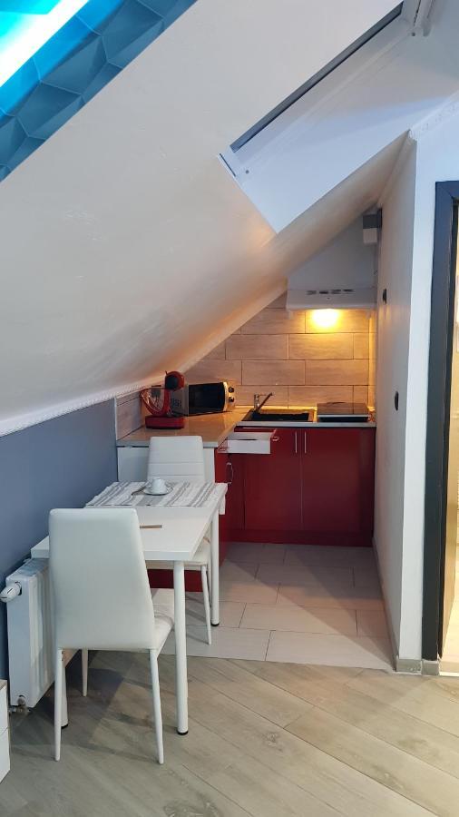 Le Petit Luxembourg Apartment Montignies-sur-Sambre Bagian luar foto
